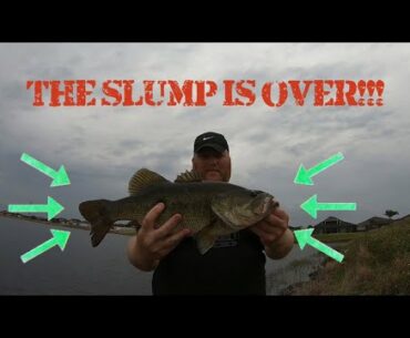 CATCHING SOME HOGS ON THE WACKY RIG!!