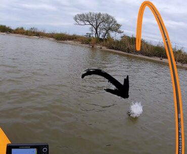 This Was Unexpected! Fishing a Massive River (NEW SPOT)