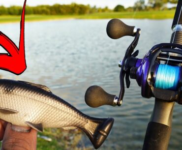 Fishing New Realistic BAITFISH swimbait!