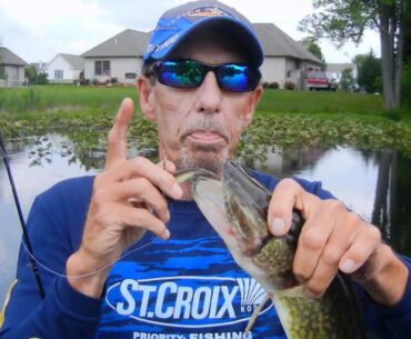 VOSHELLS POND DOVER HOUDINI SHAD BASS.