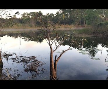 Bass Fishing 2017- Looking for Spawning Bass in a New Lake