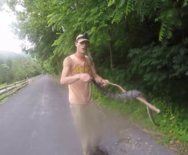 CATCHING A RATTLESNAKE ON AMAZING HIKE!!