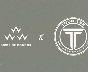 Birds of Condor X Tour Tee
