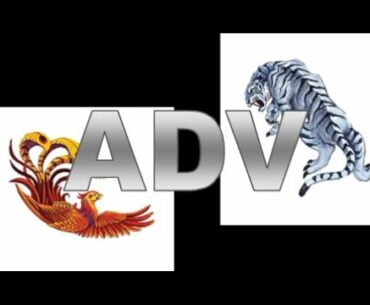 01 06 2021 White Tiger and Red Phoenix ADV