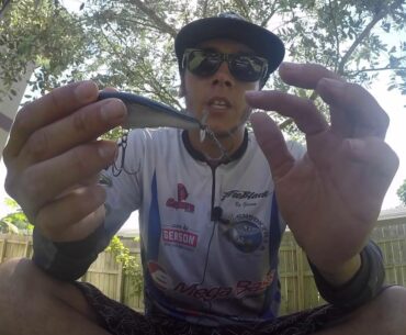 Palm Beach peacock bass fishing