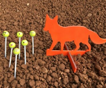 Steel Fox and Golf Balls @ 500yds