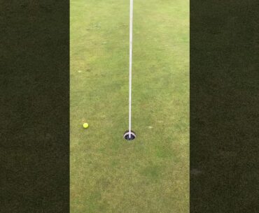 PINPAL and the putter claw