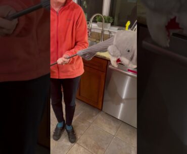 golf club head cover demo