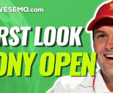 PGA DFS PICKS: SONY OPEN DAILY FANTASY GOLF STRATEGY DRAFTKINGS & FANDUEL 1/11/21