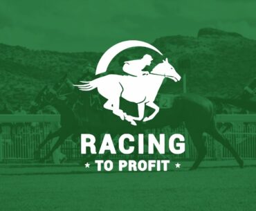 Handicap Chase Analysis: What Can We Learn From Daly Tiger (+Micro Angle)