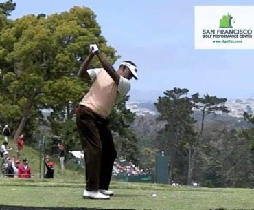 Vijay Singh Golf Swing DL 2012