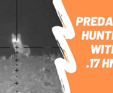 Predator hunting with my .17 HMR | Got a fox, missed a jackal - BHT
