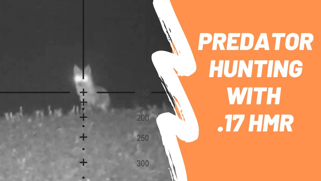 Predator hunting with my .17 HMR | Got a fox, missed a jackal – BHT Predator hunting with my .17 HMR | Got a fox, missed a jackal - BHT