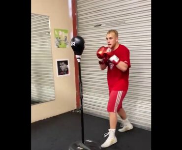 Jake Paul on the Speedbag #shorts