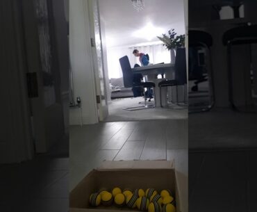Indoor Pitch Practice - 58 Degree Wedge into a box