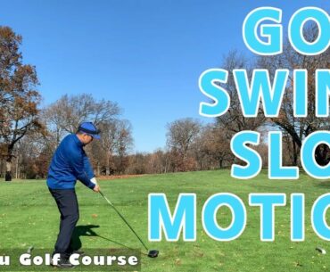[GOLF SWING] Mosholu Golf Course. NOV15.2020.