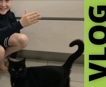 VLOG wk3: The Cat Jumped in the Dishwasher & I nearly killed my Dad with Lemon Drizzle Cake!