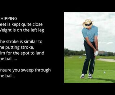 Black Dragon Sports - Golf - From Tee Box to the Greens
