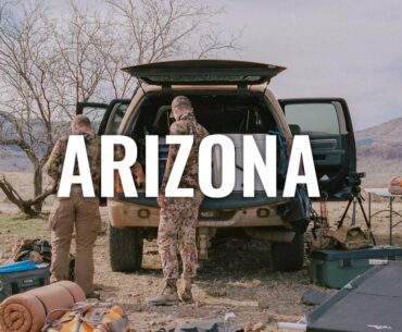 WHAT YOU NEED TO KNOW - Arizona Application Strategy