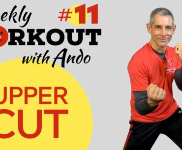 Martial Arts for Beginners - Home Workout #11- Uppercut