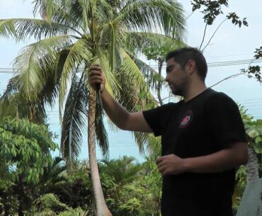 Basic Knife Grips for Knife Fighting by Rick Tew's NinjaGym® Martial Arts & Fitness Camp Thailand