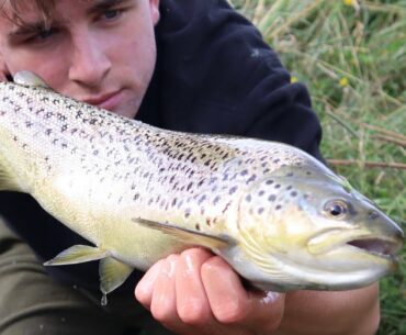 Chunky Brown Trout On Worms | Trout Fishing New Zealand