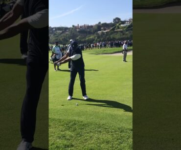 Tiger Woods Swing -Slow Motion -2020 Genesis Open Golf Tournament