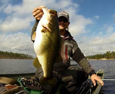 Big Bass Caught on Lizards - Spring Bass Fishing During the Spawn