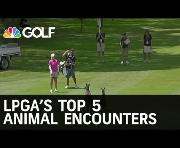 LPGA Top 5 Animal Encounters | Golf Channel