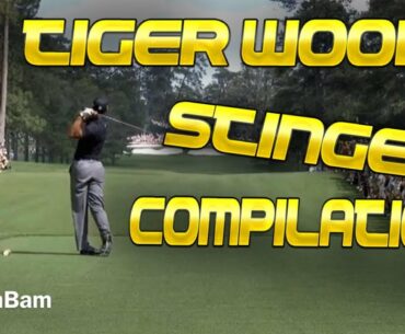 The BEST Tiger Woods Stinger & Ball Flight Compilation
