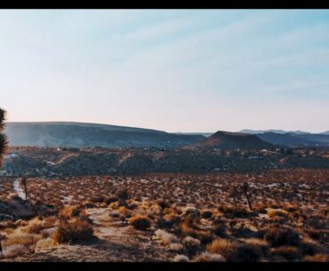 The Perfect Polo: Desert