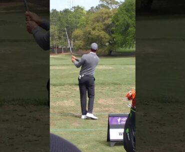 TIGER WOODS WEDGE PRACTICE WARM-UP ON DRIVING RANGE AT  VALSPAR CHAMPIONSHIP 2018 AT INNISBROOK