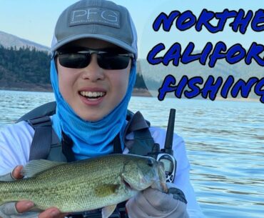 Fishing LAKE TRINITY, CA For AGGRESSIVE BASS!!! (BEST BITE!)