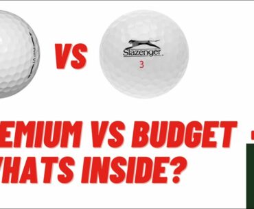 Titleist PRO V1 vs BUDGET Golf Ball