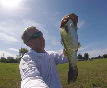 Fishing for BIG Bass, in small clear water ponds