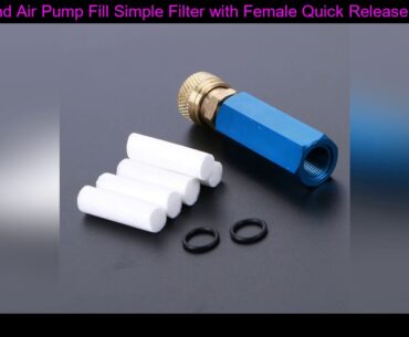 PCP Hand Air Pump Fill Simple Filter with Female Quick Release M10*1 Threads and Free Filter Elemen