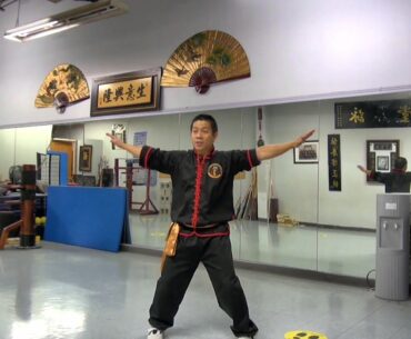 Beginner WingChun Classes