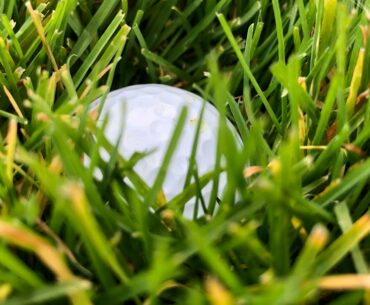 Patrick Reed and that drop (cheating or acceptable)