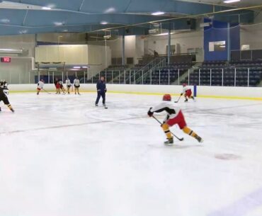 Video Tip - Puck Release Position Elbow Up.