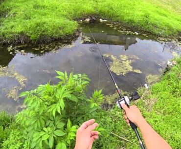 Spring Bass fishing (Spawning Bass) Bayou Bass 720p HD