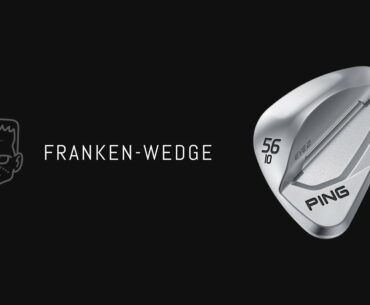 The High Spinning FRANKEN-WEDGE