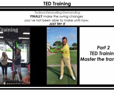 TED Training: Master the transition Part 2