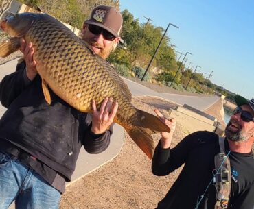Arizona Catch & Release State Record  - Common Carp 1.13.21