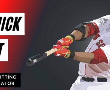 The Hitting Simulator [QUICK HIT]