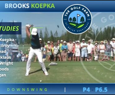 Brooks Koepka, Rory McIlroy, Sam Snead, Jack Nicklaus, Mickey, Tiger Woods, Ben Hogan downswing.