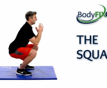 THE SQUAT