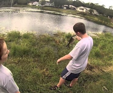 Winter Spawn Pond Bass Fishing