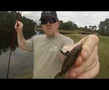 QuicKbaits - PreSpawn Bass Fishing