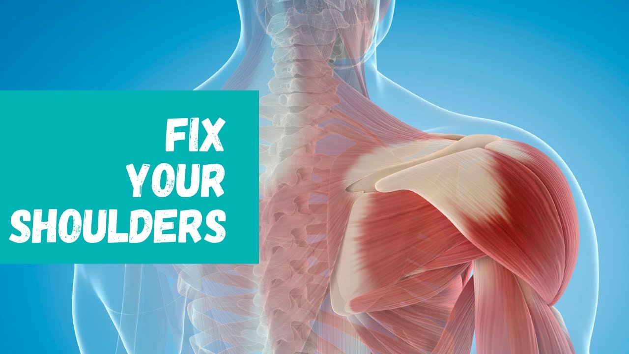 How to Fix Shoulders How to Fix Shoulders