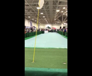 Golfer drains 120 foot putt to win $100,000 Putt at the Minnesota Golf Show (2018)